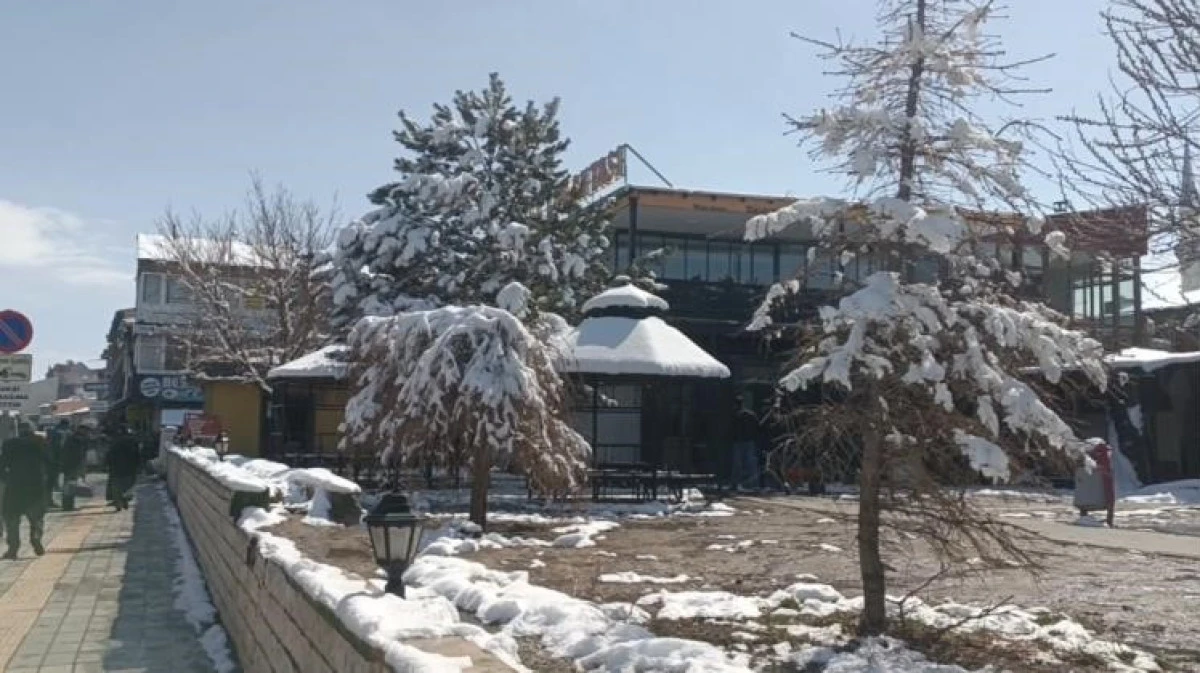 &Ouml;zalp'ta nisan karı etkili oldu