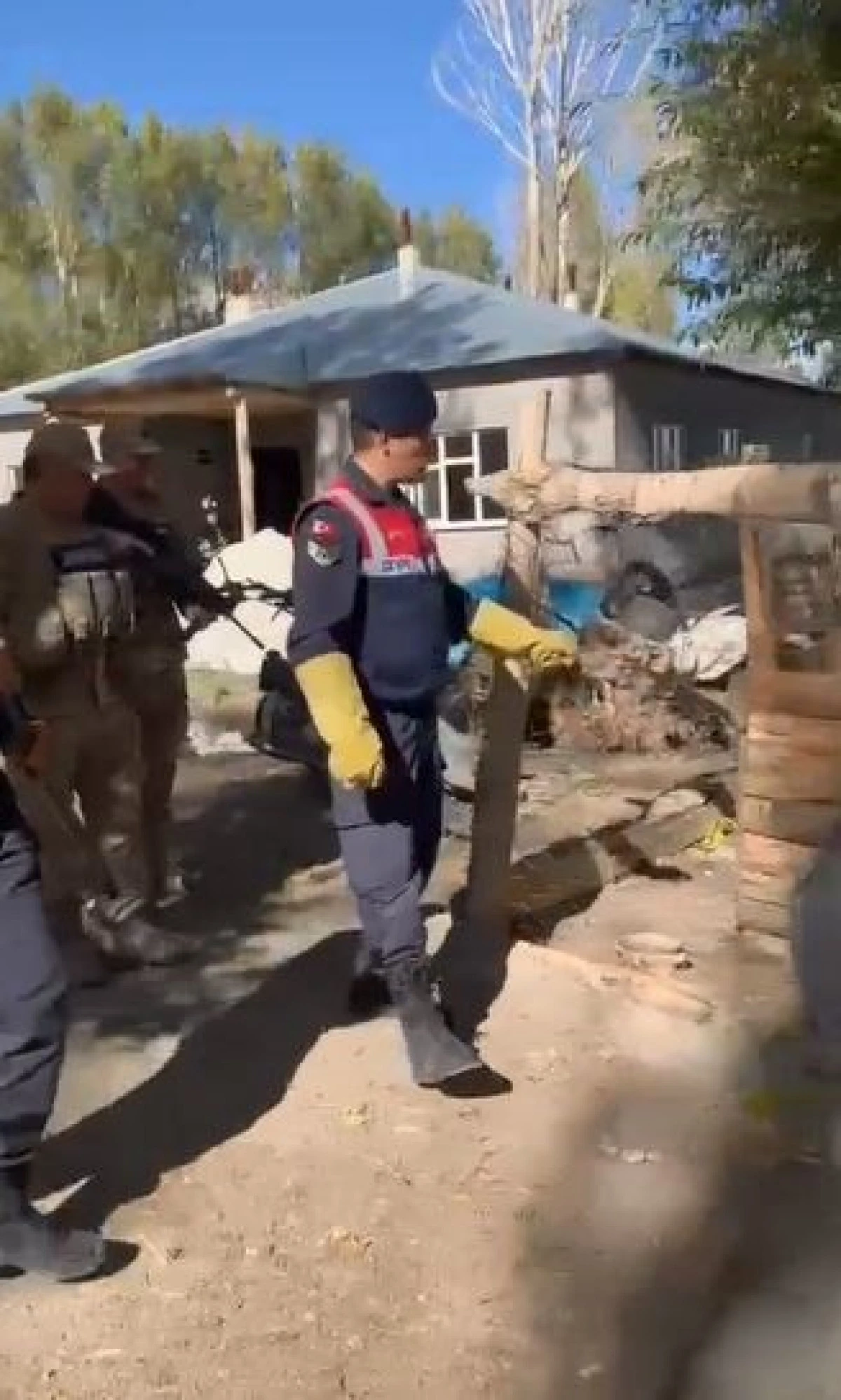 Özalp'te kafeste tutulan kurt kurtarıldı