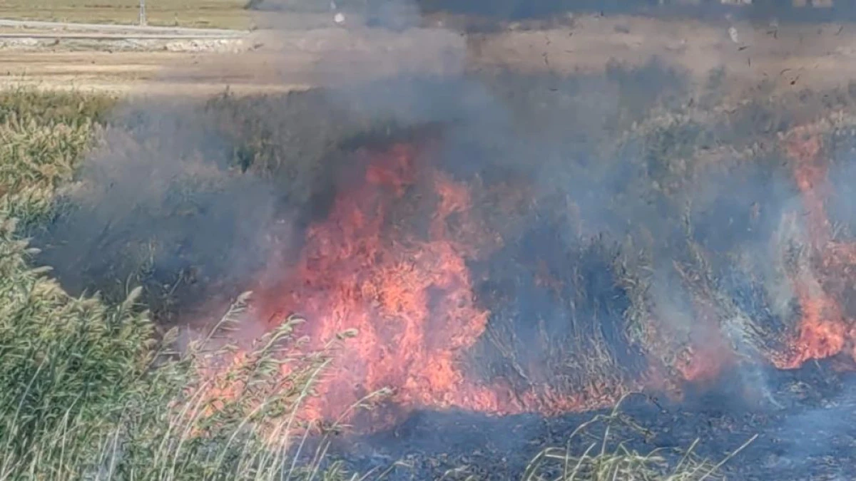 Prof. Dr. Lokman Aslan: 