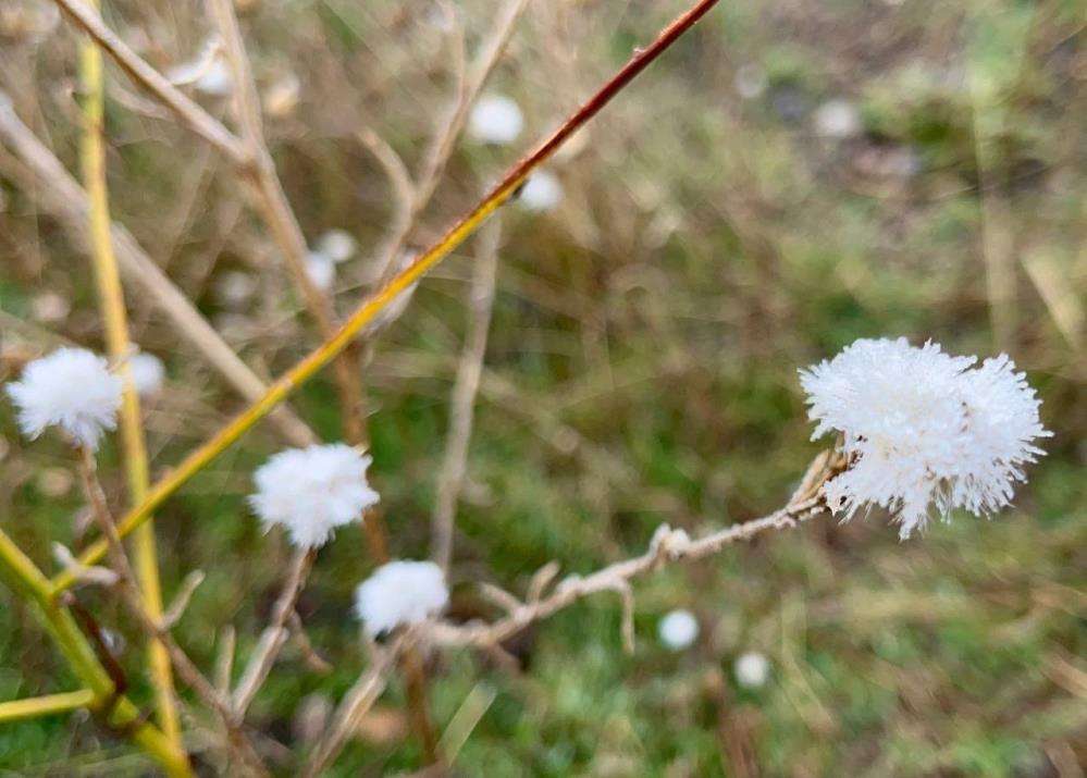 Soğuk hava Ağrı’yı etkisi altına aldı