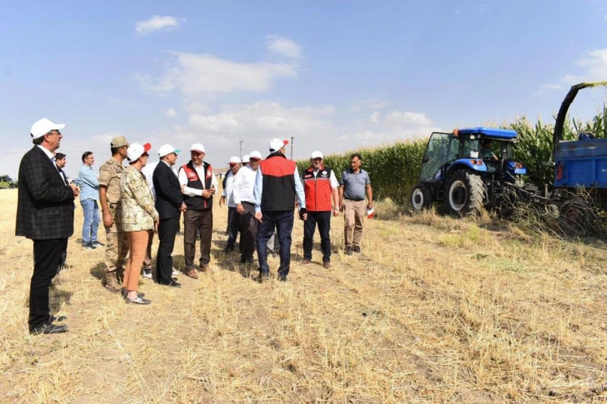 Tuşba&rsquo;da "Silajlık Mısır Hasadı Tarla G&uuml;n&uuml;" d&uuml;zenlendi