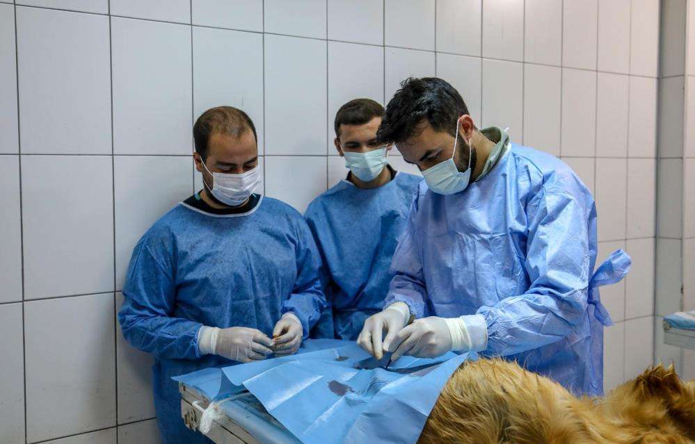 Üniversite öğrencileri hayvan bakım evinde uygulamalı eğitim alıyor