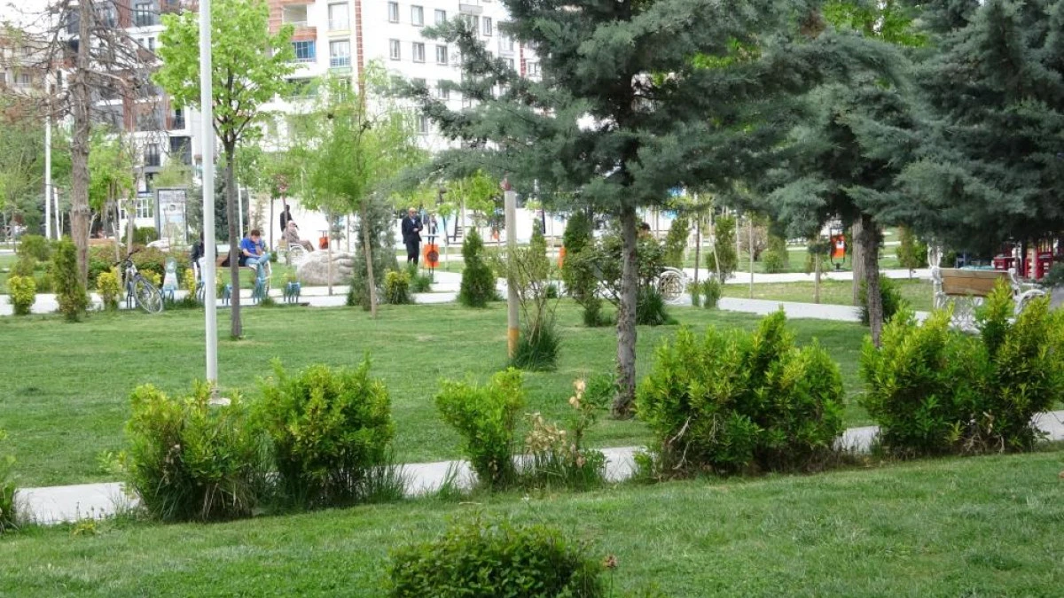 Uzmanlardan kene uyarısı: 