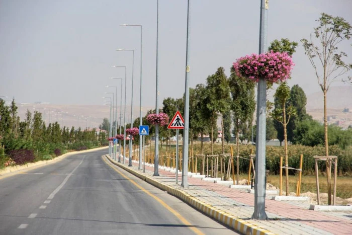 Van Büyükşehir Belediyesi şehri sardunyalarla süslüyor