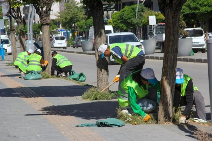 Van Büyükşehir Belediyesinden yeşil alanlarda yoğun mesai