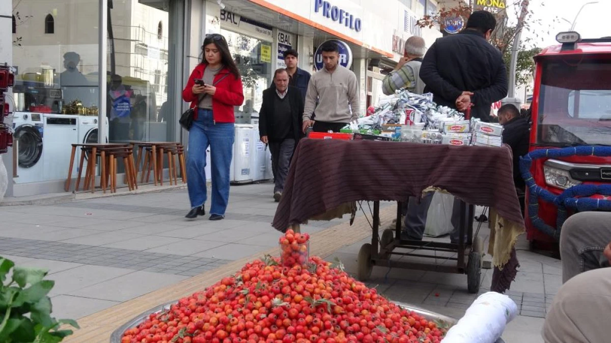 Van dağlarının doğal şifa kaynağı alı&ccedil;, tezgahlardaki yerini aldı