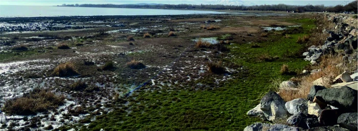 VAN G&Ouml;L&Uuml; ARALIK&rsquo;TA  YAĞIŞA HASRET KALDI