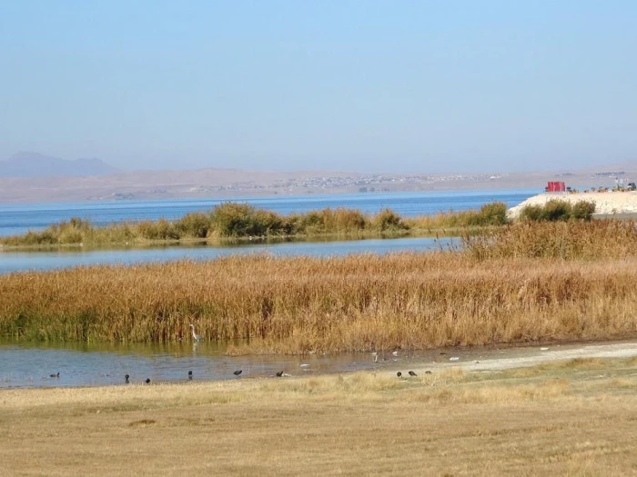 Van Gölü Havzası, Türkiye'nin en fazla sulak alanına ev sahipliği yapıyor
