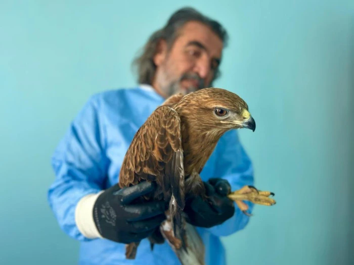 Van G&ouml;l&uuml; Havzası'ndaki yaban hayatı emin ellerde