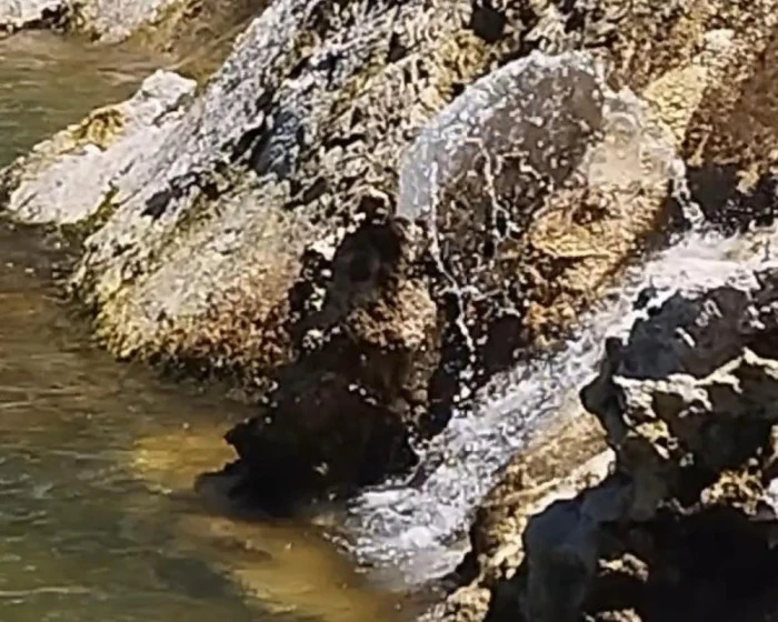 Van Gölü'nde şaşırtan görüntü: Mikrobiyalitten tatlı su fışkırdı