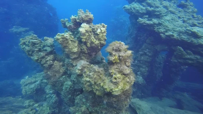 Van G&ouml;l&uuml;'n&uuml;n mikrobiyalitleri Guinness i&ccedil;in &ouml;n elemeyi ge&ccedil;ti