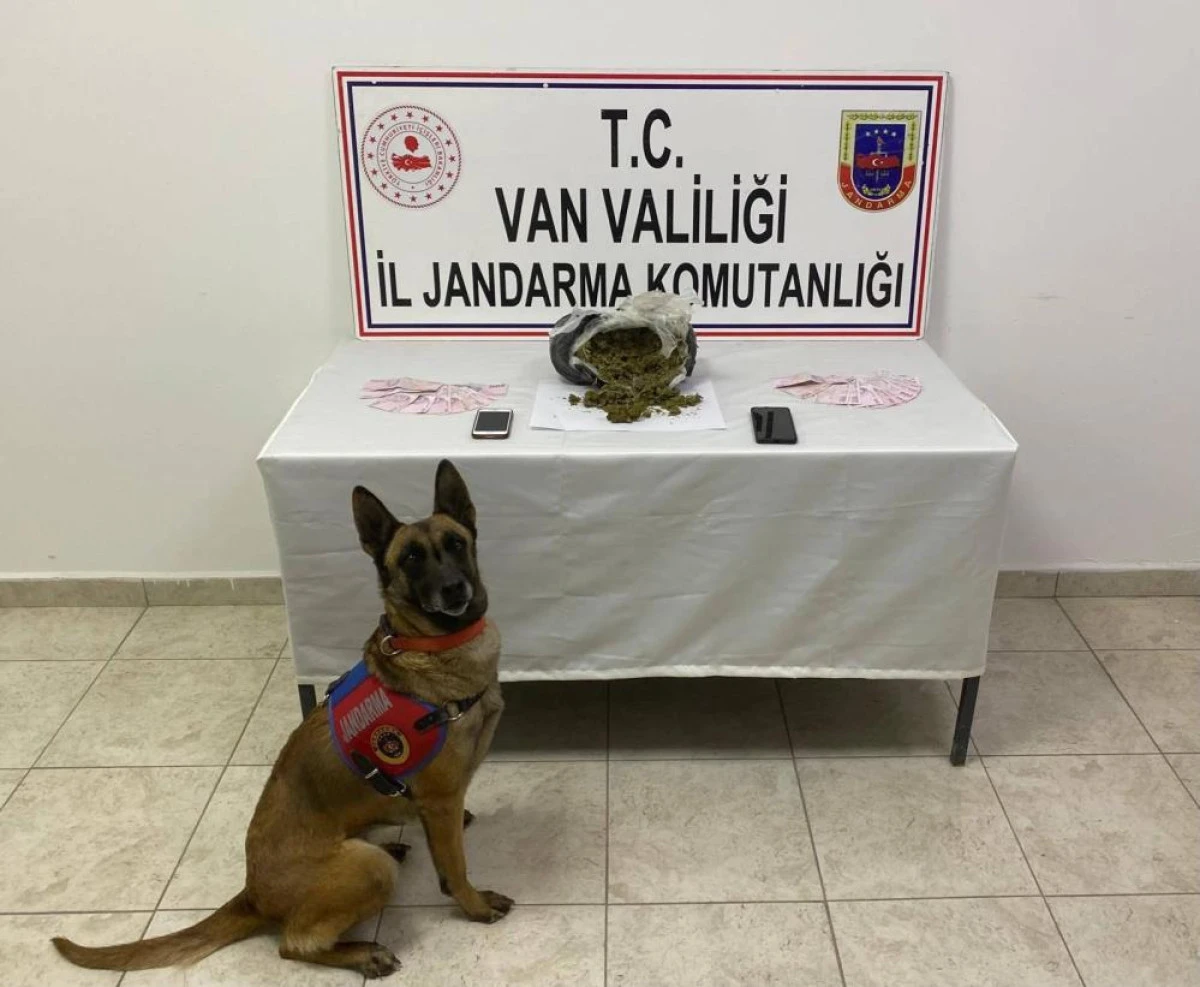 Van&rsquo;da 1 kilo 64 gram skunk maddesi ele ge&ccedil;irildi