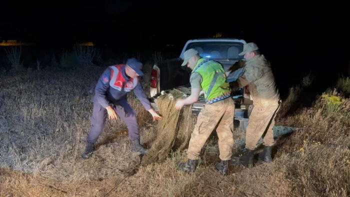 Van’da 1,5 ton inci kefali ele geçirildi