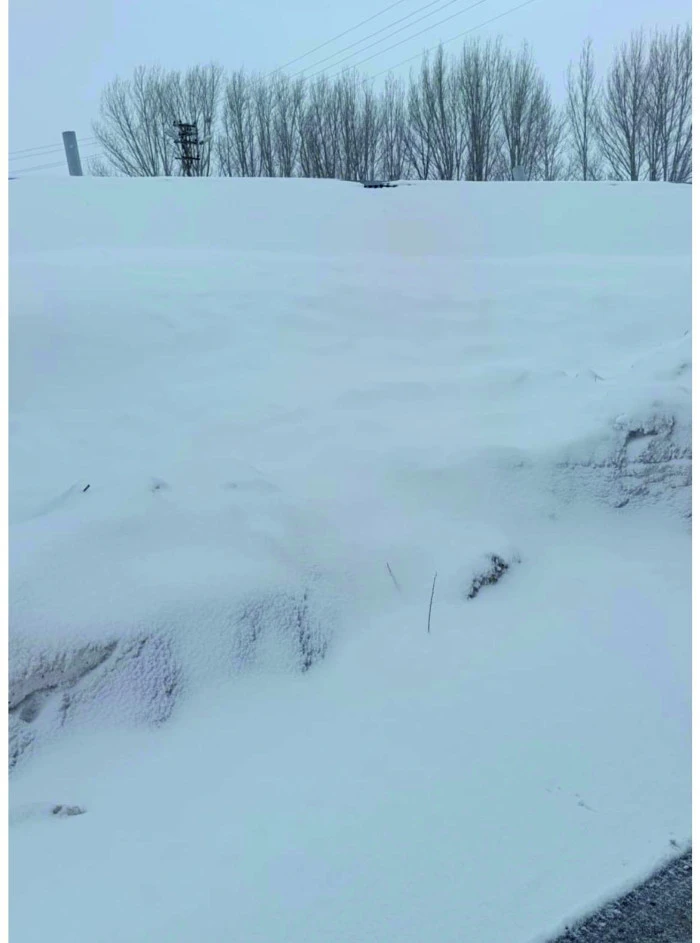 Van&rsquo;da 151 yerleşim yerinin yolu kapandı