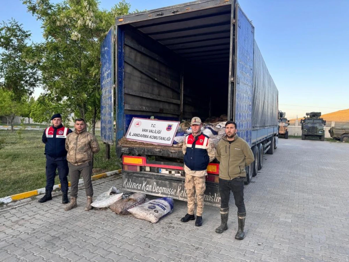Van’da 19 ton 200 kilo inci kefali balığı ele geçirildi