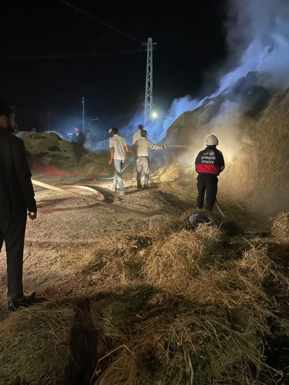 Van'da 2 bin 500 bağ ot yandı