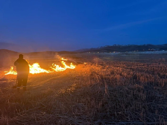 Van'da 2 farklı sazlık alanda yangın &ccedil;ıktı