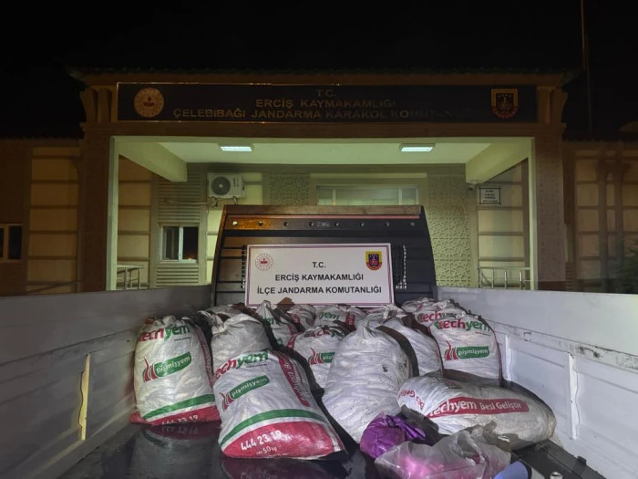 Van'da 3 aylık süreçte kaçak avlanan 78 ton inci kefaline el konuldu