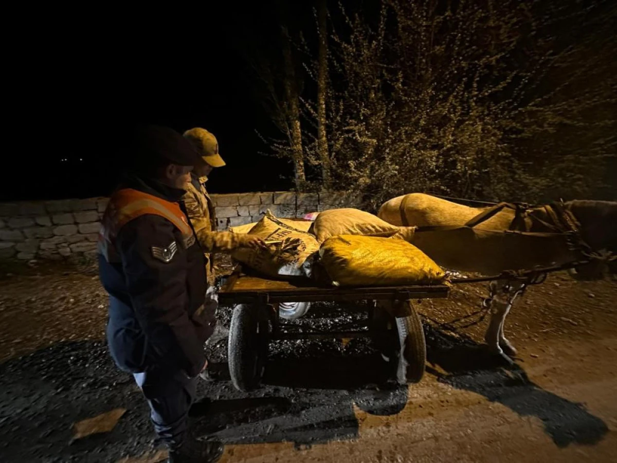 Van’da 3 ton 820 kilo kaçak avlanmış balık ele geçirildi