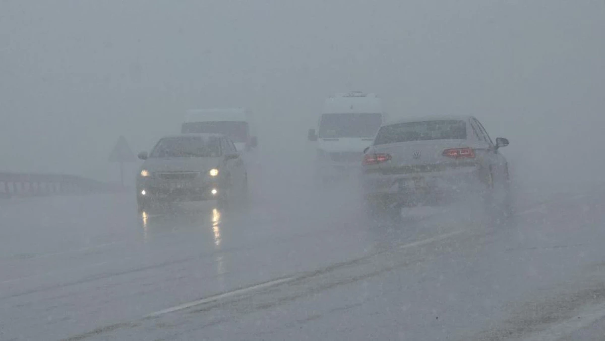 Van'da 50 yerleşim yerinin yolu kapalı