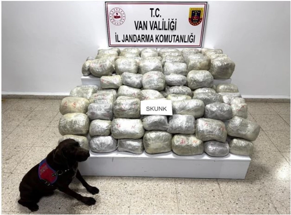 Van'da 70 kilo skunk madde ele geçirildi