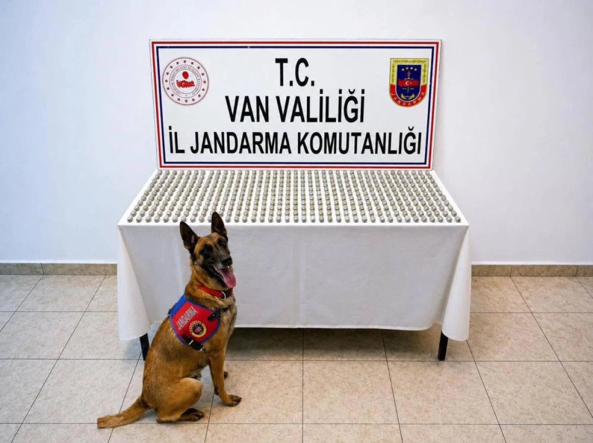 Van'da 8 İranlı'nın midesinde 3 kilo esrar ele ge&ccedil;irildi