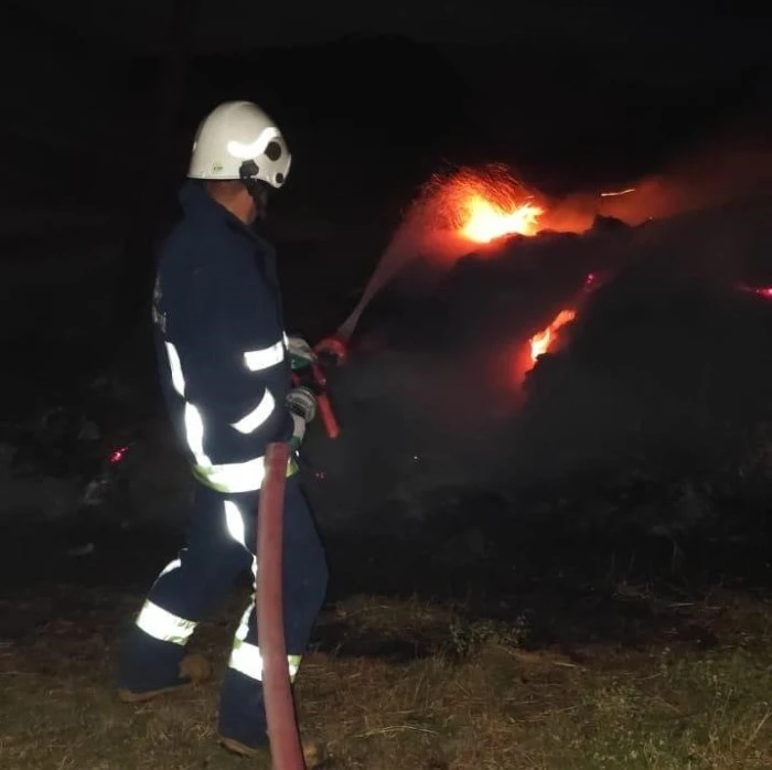 Van'da 800 bağ ot yanarak kül oldu