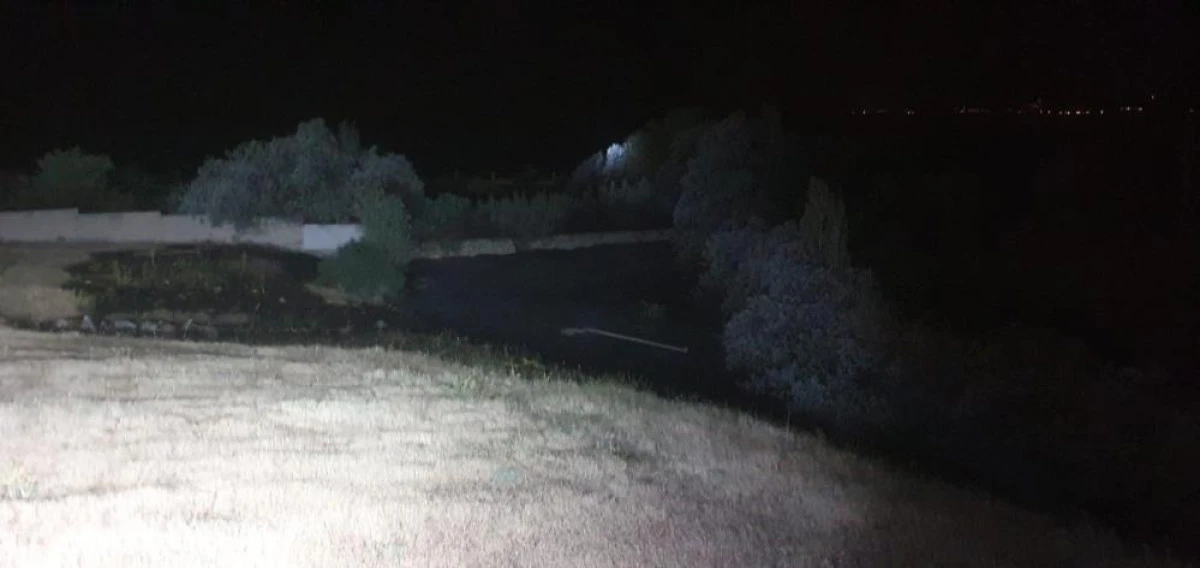 Van'da ağaçlık alanda yangın