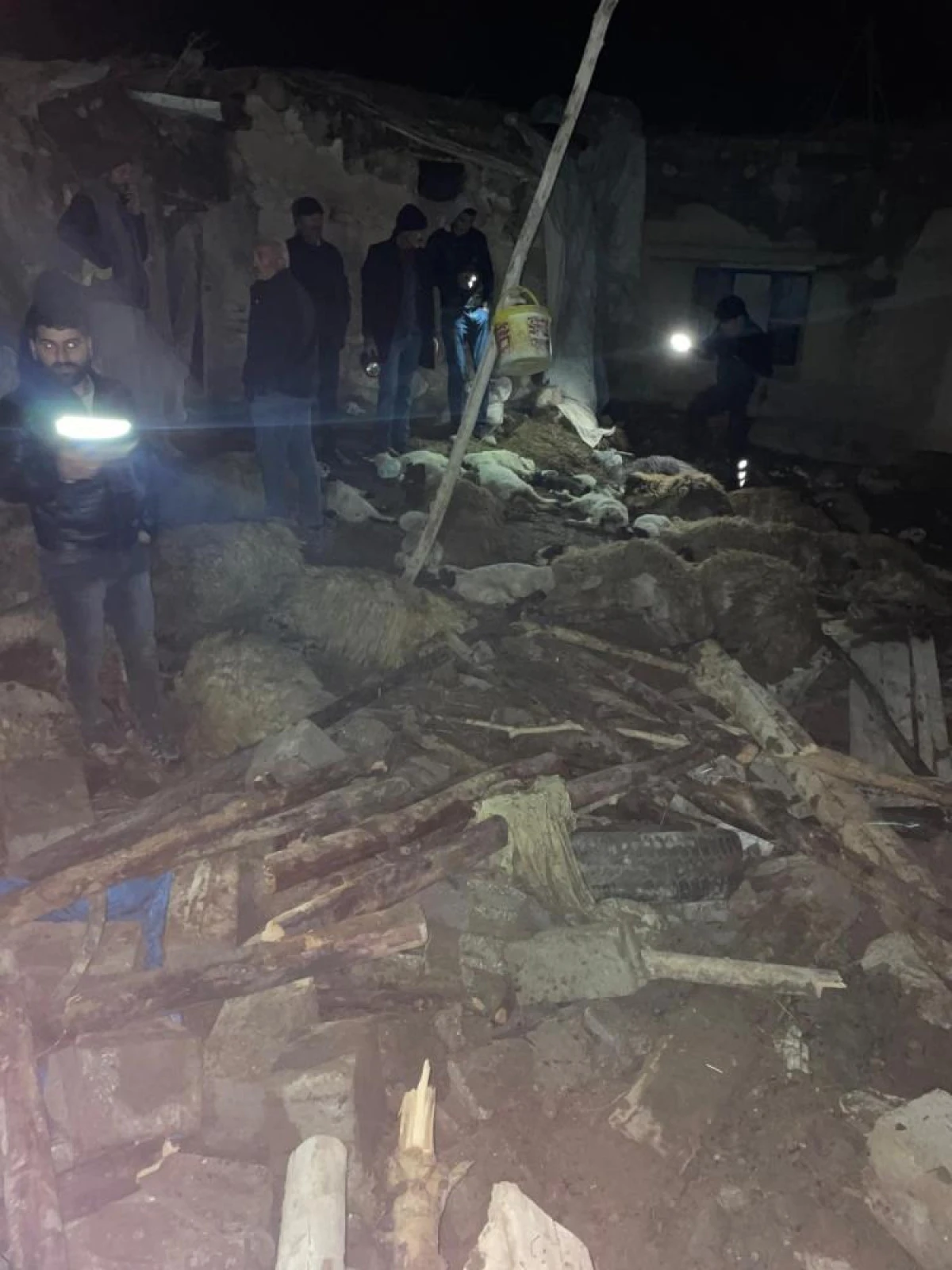 Van'da ahır &ccedil;&ouml;kt&uuml;: 56 k&uuml;&ccedil;&uuml;kbaş hayvan telef oldu