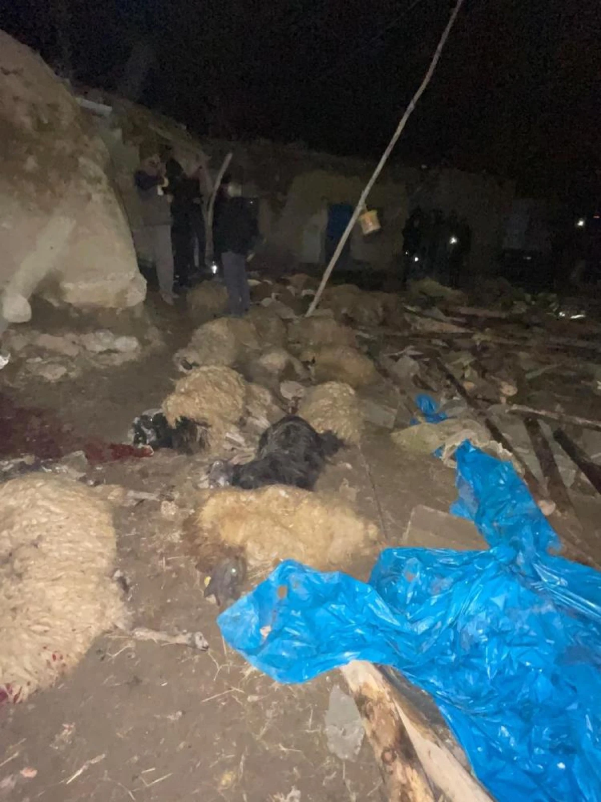 Van'da ahır &ccedil;&ouml;kt&uuml;: 56 k&uuml;&ccedil;&uuml;kbaş hayvan telef oldu