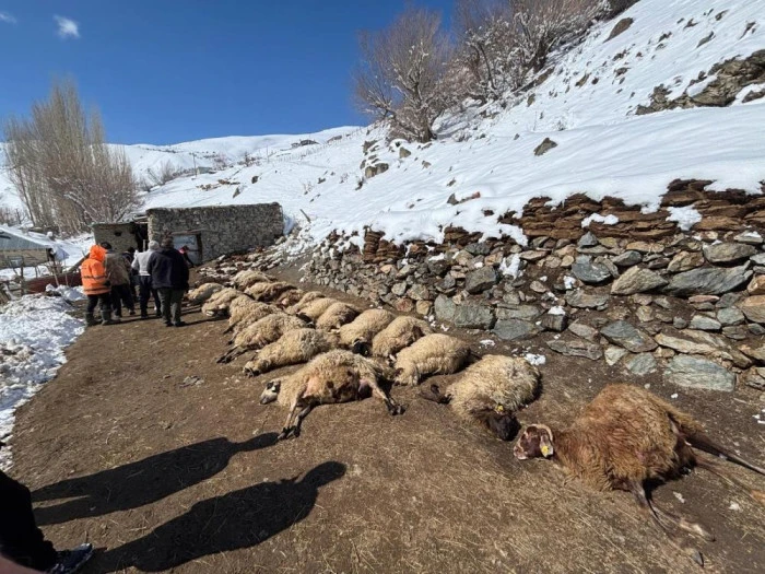 Van'da ahırda feci yangın: 67 k&uuml;&ccedil;&uuml;kbaş hayvan telef oldu