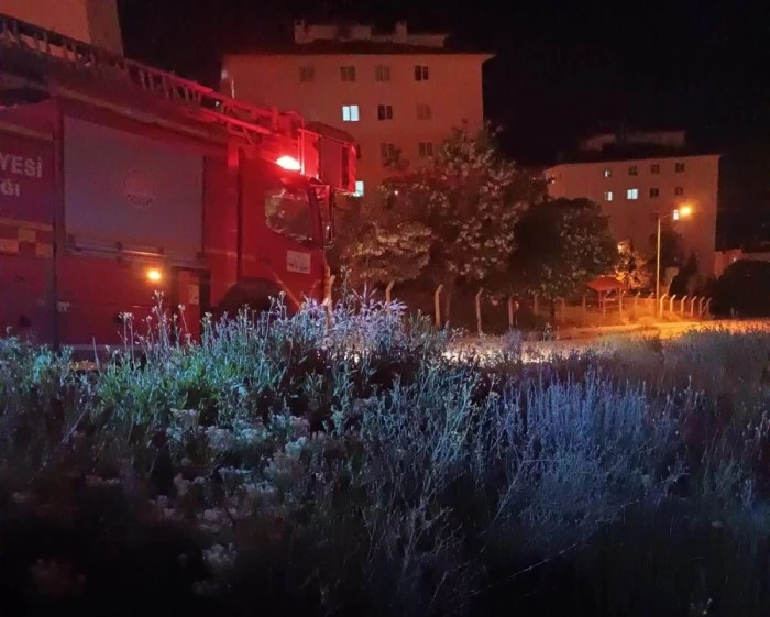 Van'da anız yangını