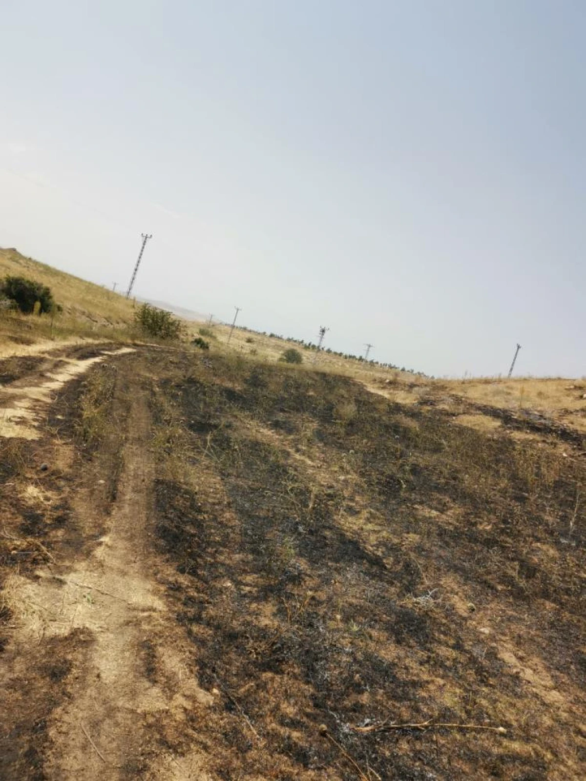 Van'da anız yangını