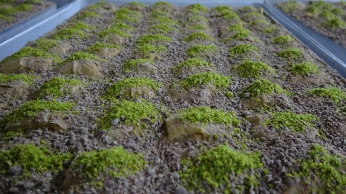 Van'da bayram &ouml;ncesi 'tatlı telaşı' başladı