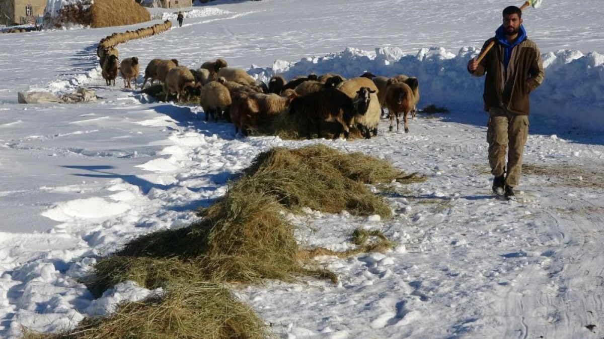 Van'da besicilerin karda zorlu mesaisi s&uuml;r&uuml;yor