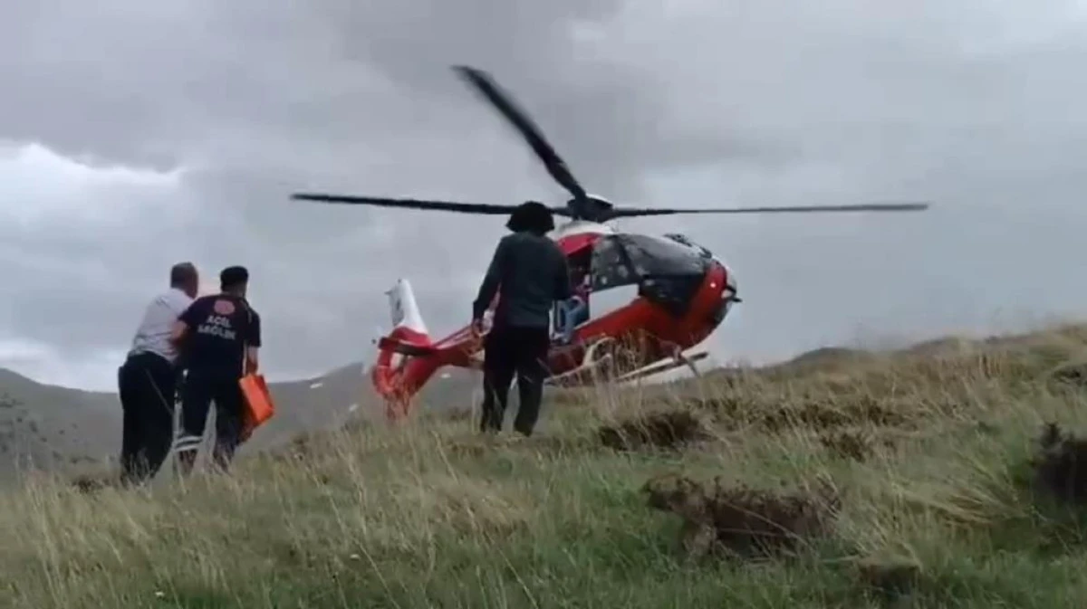 Van'da dağda mahsur kalan şahıs helikopter ambulansla kurtarıldı