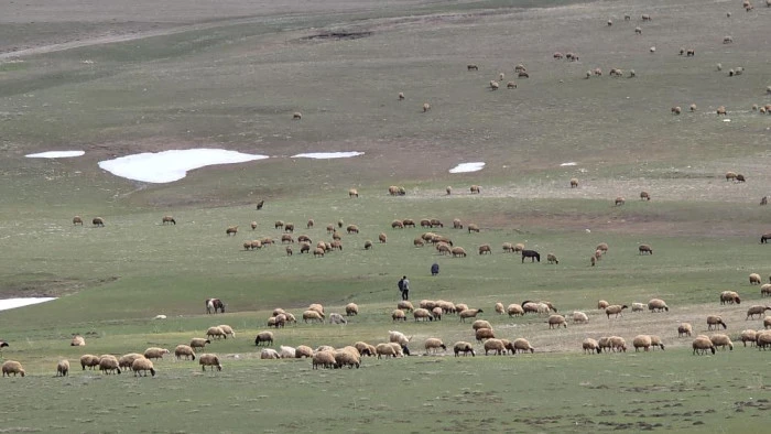 Van'da iki mevsim bir arada