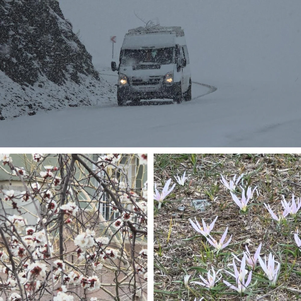 Van'da iki mevsim bir arada: Bir yanda bahar, diğer yanda kış