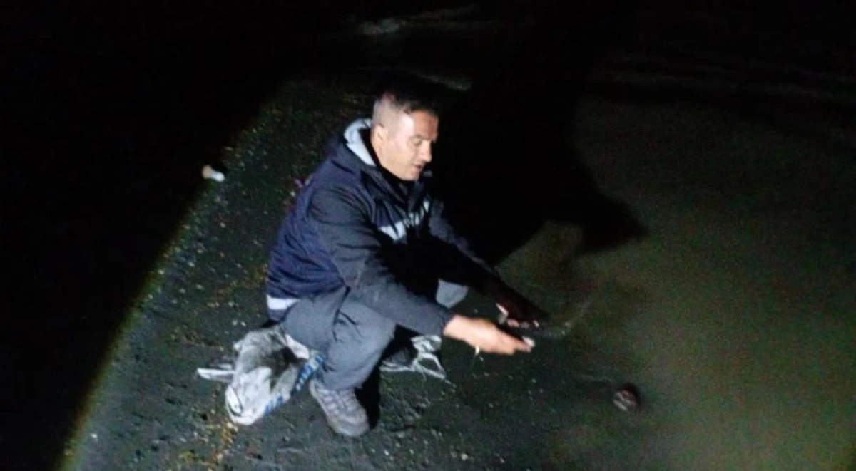Van'da inci kefali göçü başladı: 60 kilo balığa el konuldu