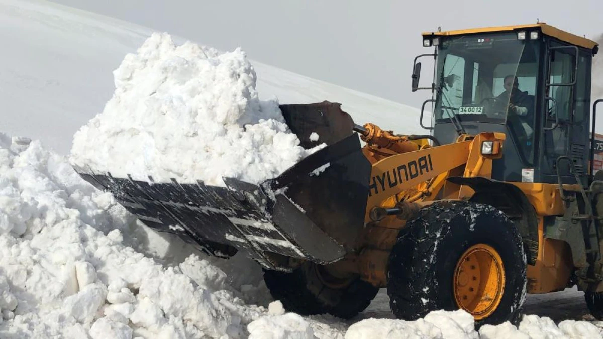 Van'da kar nedeniyle kapanan 67 yerleşim yerinin yolu a&ccedil;ılıyor