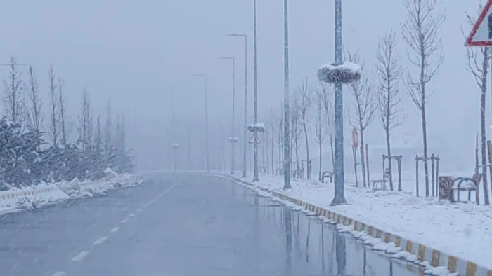 Van'da kardan dolayı kapanan 390 yoldan 230'u a&ccedil;ıldı