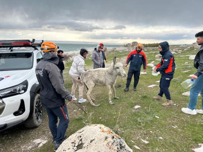 Van'da kayalıklarda mahsur kalan eşek kurtarıldı