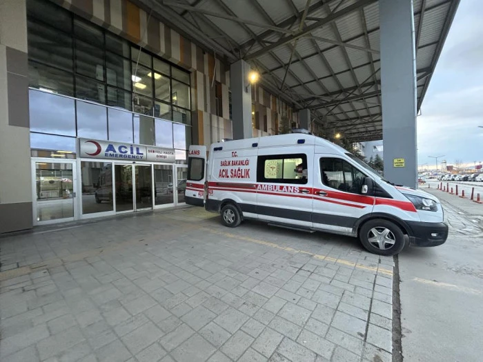 Van'da k&ouml;peklerin saldırdığı 5 yaşındaki &ccedil;ocuk hayatını kaybetti