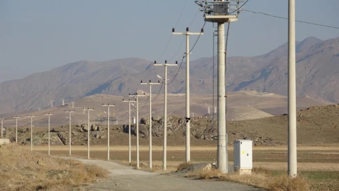 Van'da korkunç manzara: Düşen enerji hattı yaban hayvanlarını öldürdü