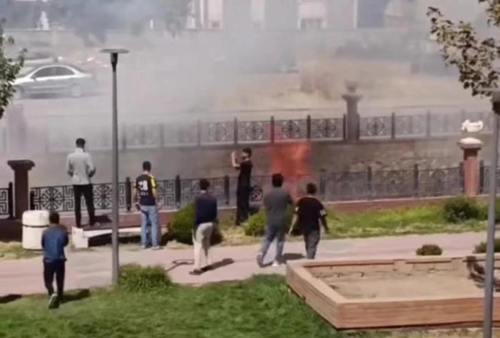 Van'da kuru ot yangını