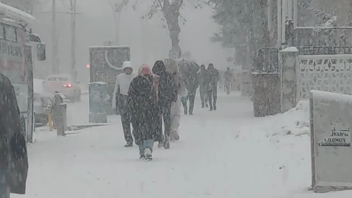 Van'da lapa lapa kar yağdı: 405 yerleşim yerinin yolu kapalı
