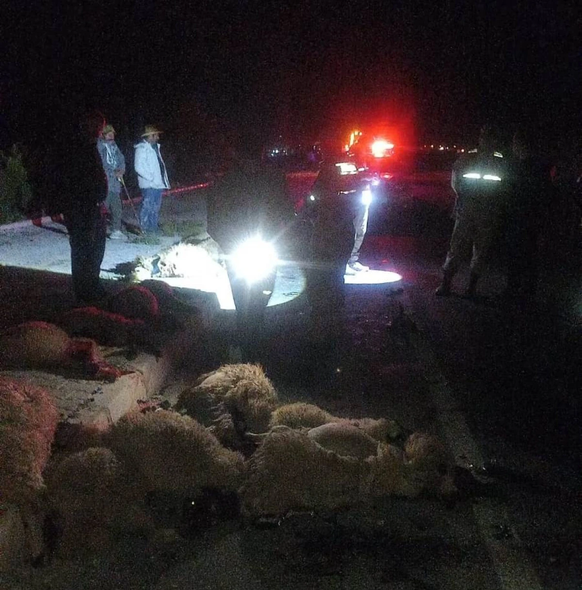 Van'da otomobil koyun s&uuml;r&uuml;s&uuml;ne &ccedil;arptı: 17 koyun telef oldu