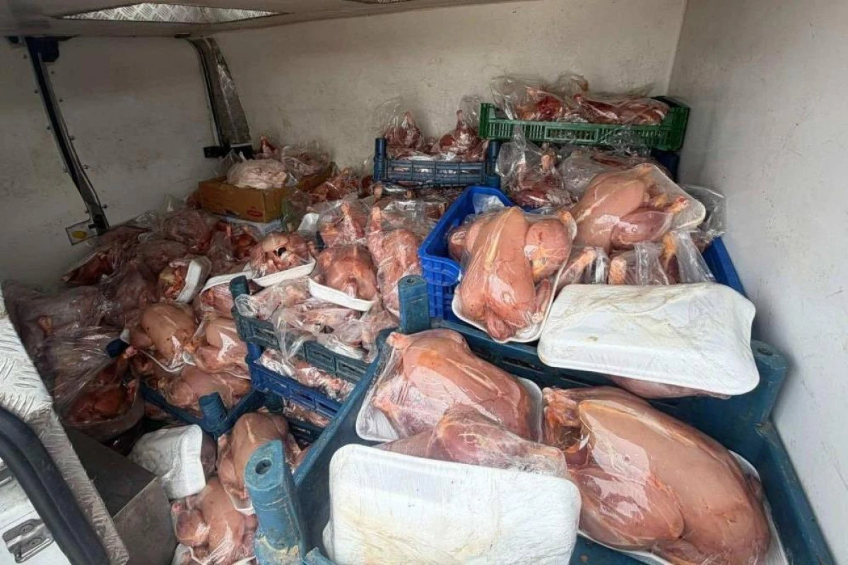 Van'da sağlık ve sevk belgeleri bulunmayan 200 tavuk ele ge&ccedil;irildi