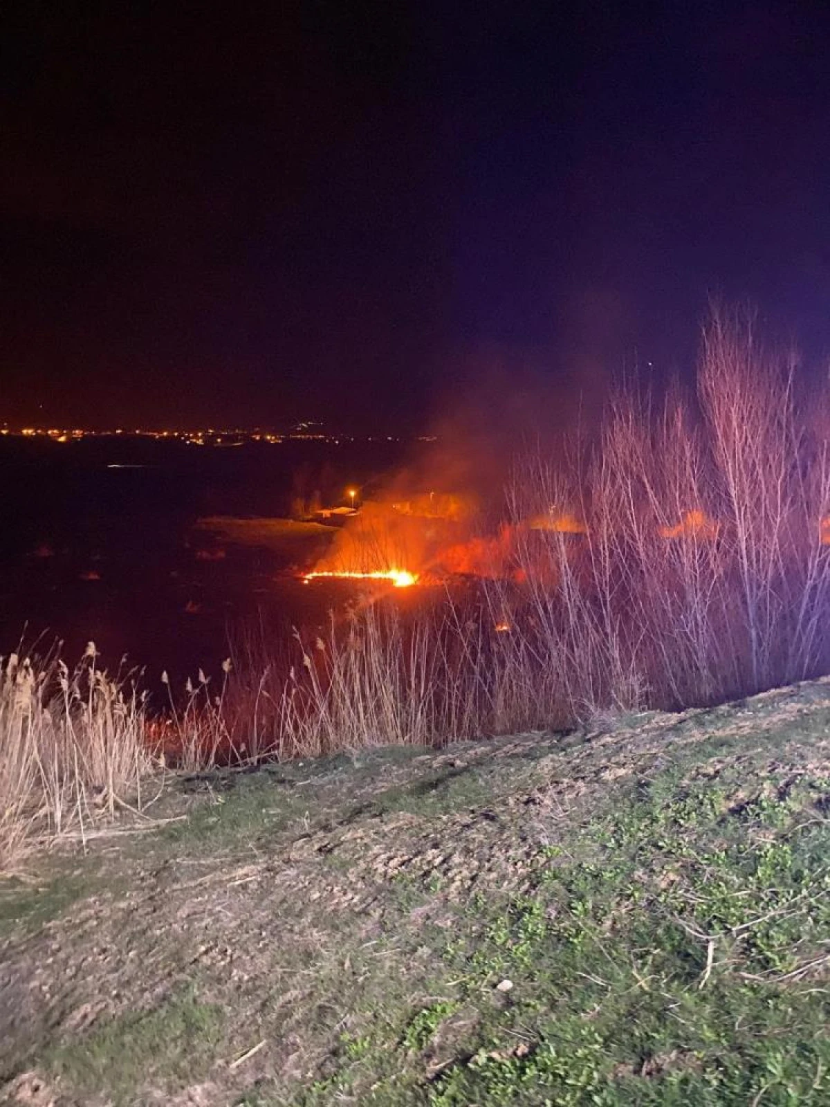 Van'da sazlık alanda yangın &ccedil;ıktı
