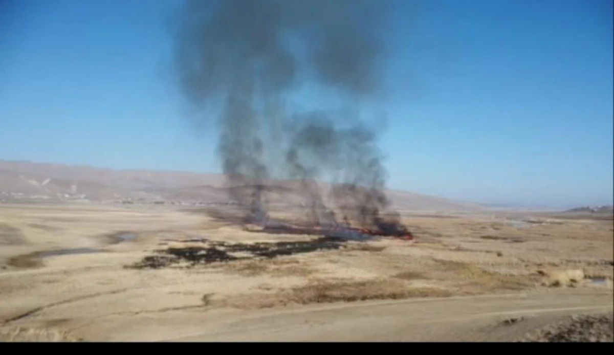 Van’da sazlık yangını